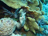 2015-03-28 13-45-53